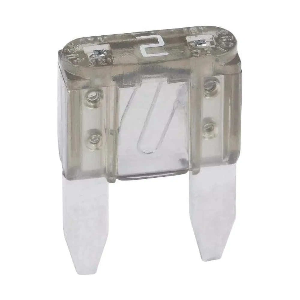 Blade Car Fuse 2A